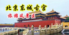 姜女差大鸡巴中国北京-东城古宫旅游风景区